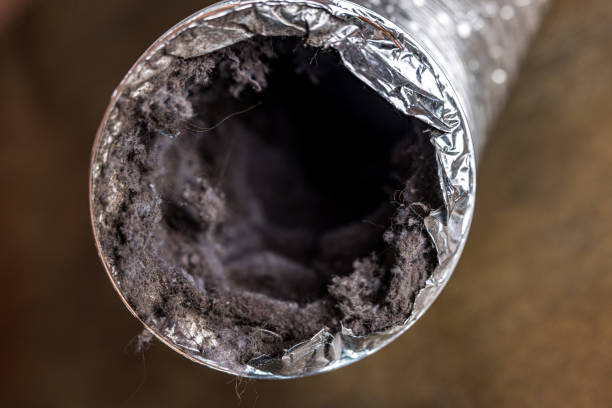 Best Best Air Duct Cleaning Company  in Royston, GA